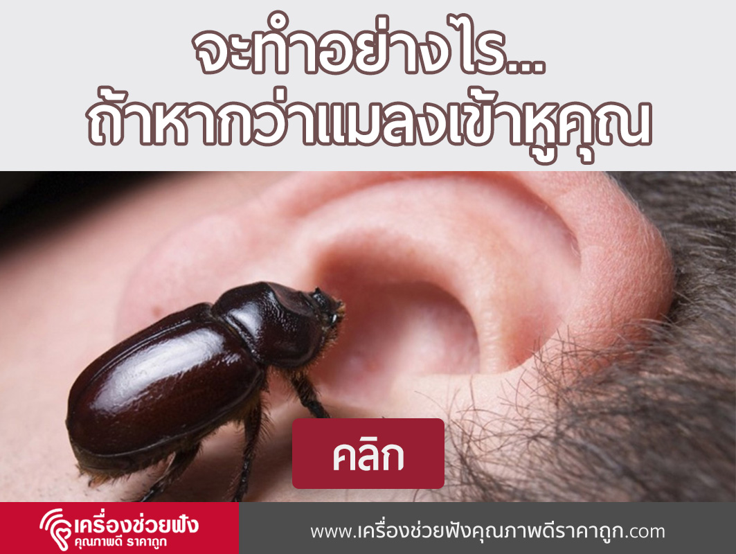 What To Do If Insect Enters Your Ear