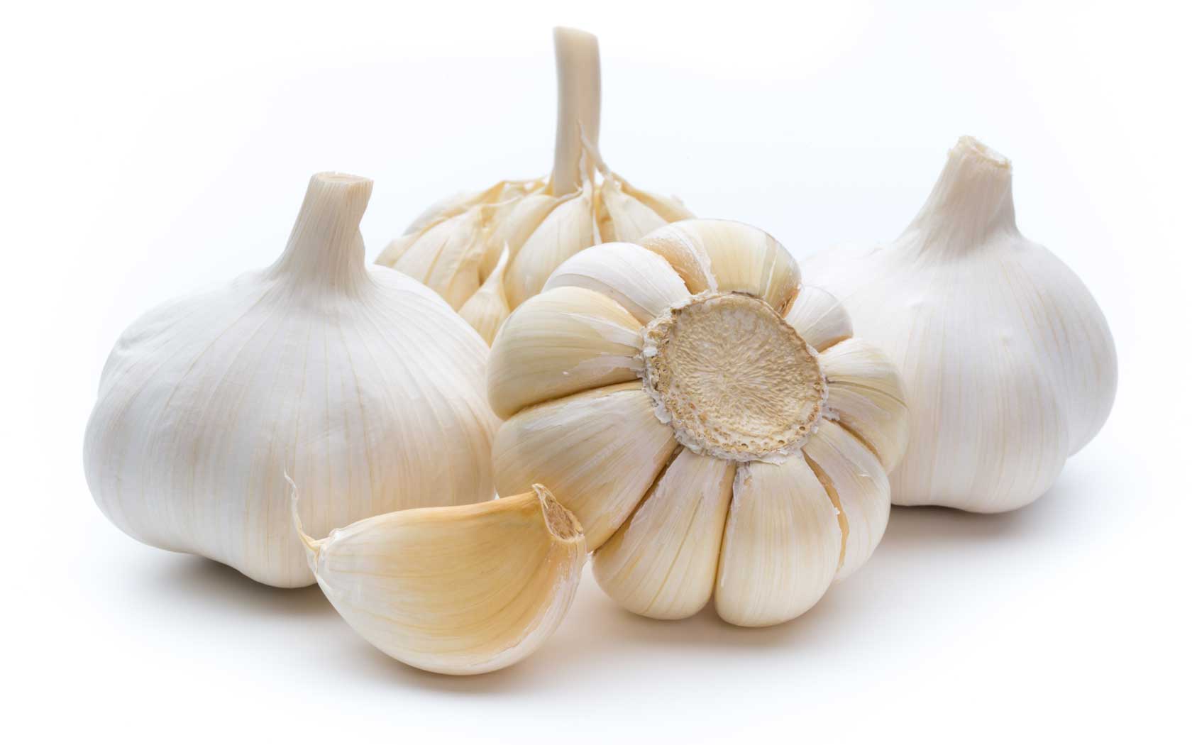 กระเทียม (Garlic) รักษาอาการหูตึง